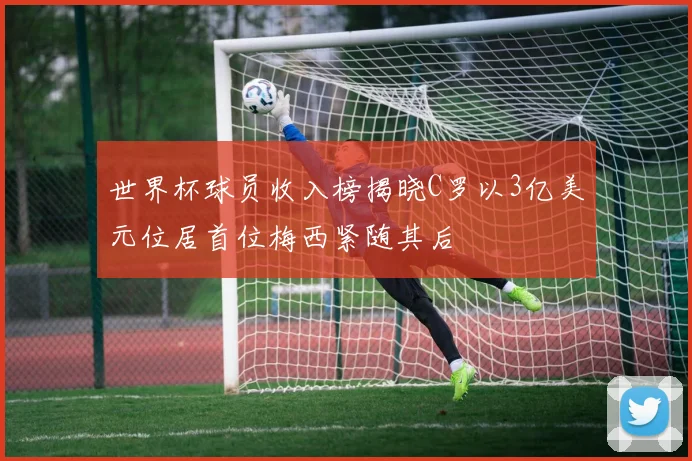 世界杯球员收入榜揭晓C罗以3亿美元位居首位梅西紧随其后
